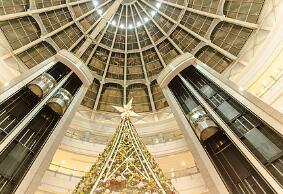 2020電梯維修費用保單來啦！